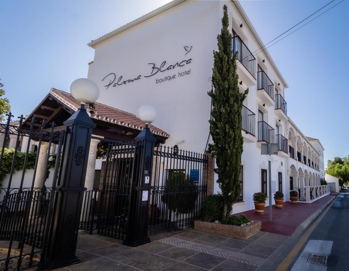 Paloma Blanca Boutique Hotel (Adults Only) Marbella Exterior foto